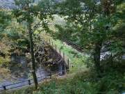 Grassy bridge